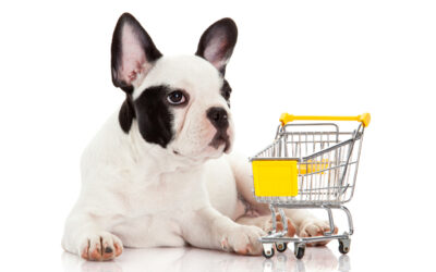 Zamów karmę dla swojego pupila online – odbierz tam, gdzie ci najwygodniej