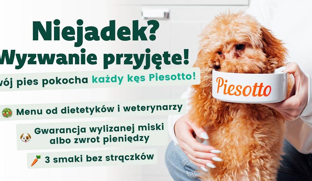 Pierwsze miesiące, które zmieniają wszystko: jak karmić szczeniaka, żeby uniknąć błędów na lata (na przykładzie Piesotto)