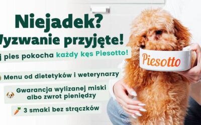 Pierwsze miesiące, które zmieniają wszystko: jak karmić szczeniaka, żeby uniknąć błędów na lata (na przykładzie Piesotto)