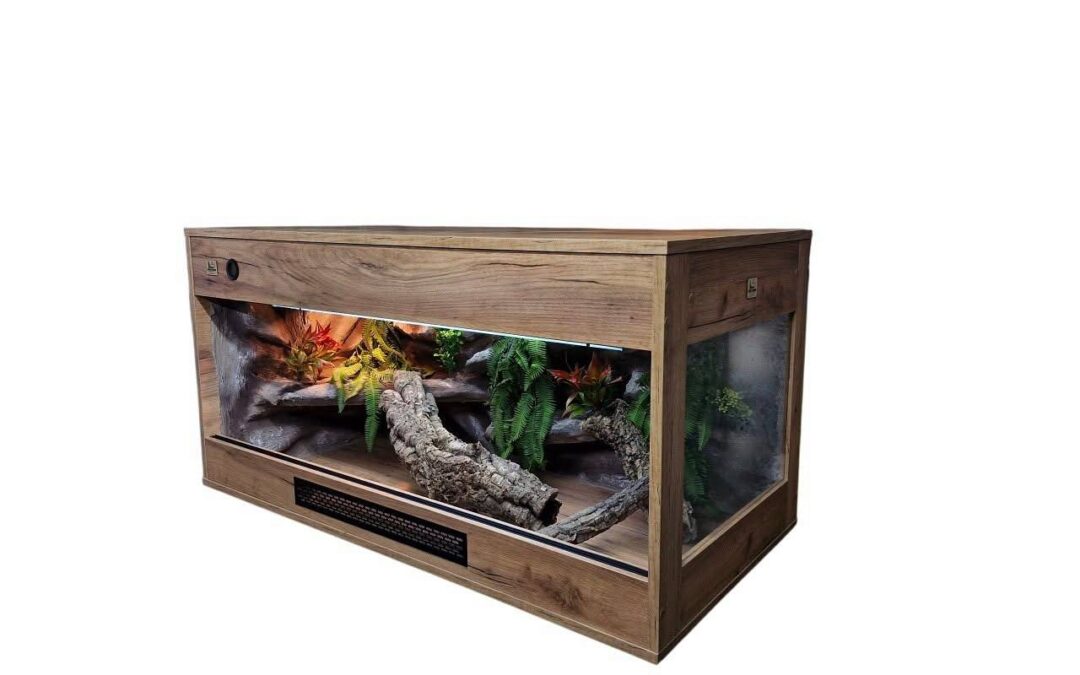 Najczęstsze choroby gadów domowych biorą się z terrarium, nie z pecha